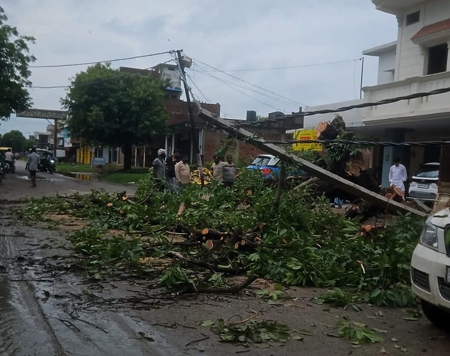 Trees fell on power lines; faults caused power outages at 13 substations.