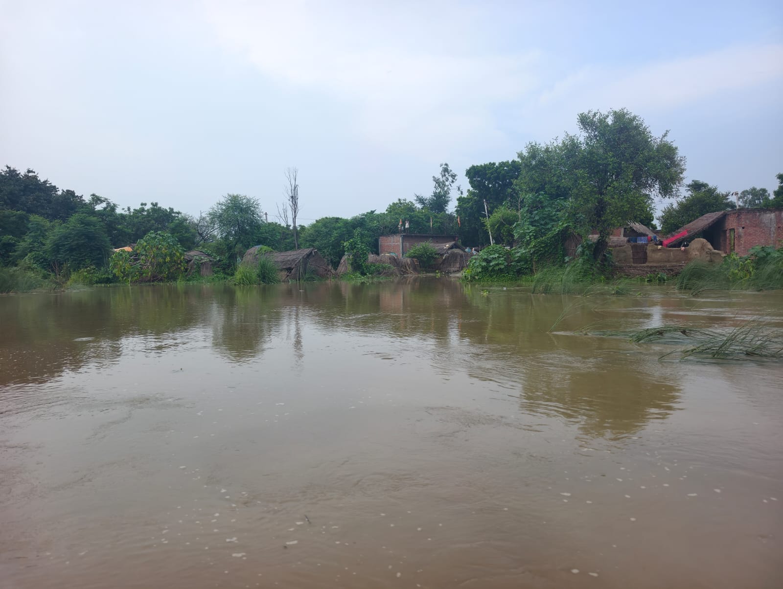 फोटो 21: बिलग्राम क्षेत्र में आबादी के आसपास भरा पानी। संवाद