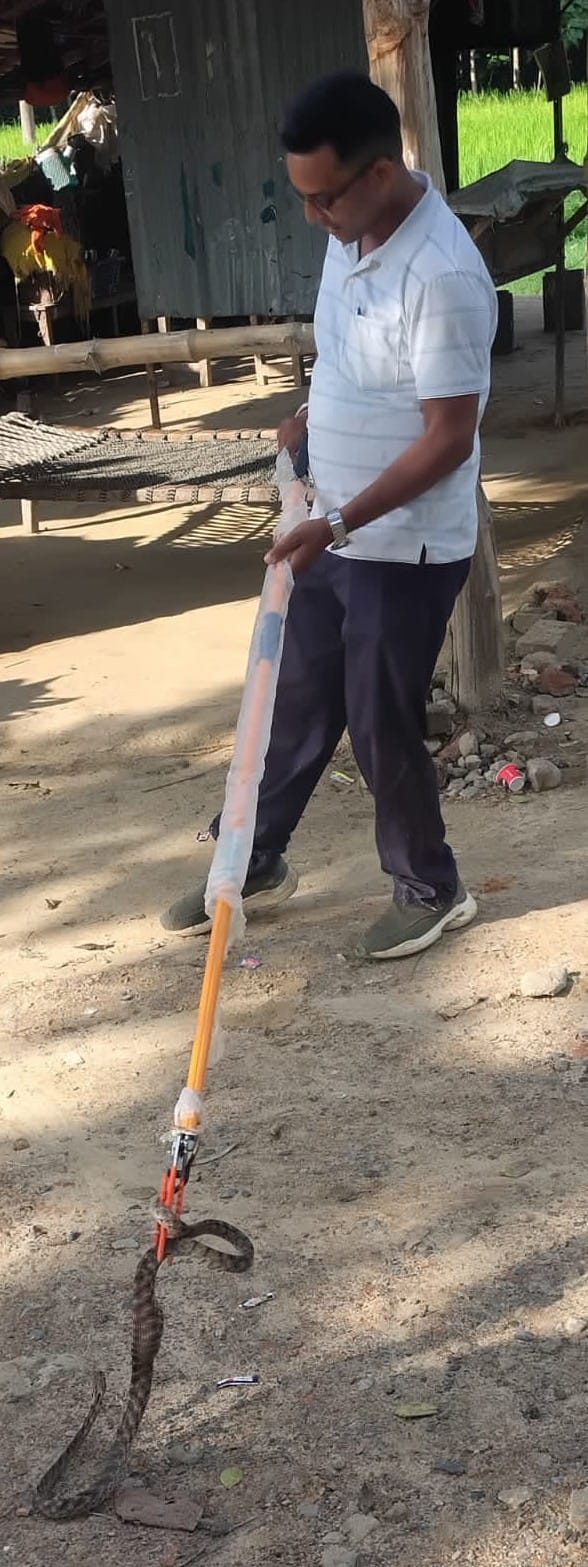 फोटो-40-जनकपुर में पहलवानपुर चौराहे पर सांप का रेस्क्यू करते कर्मी।-संवाद