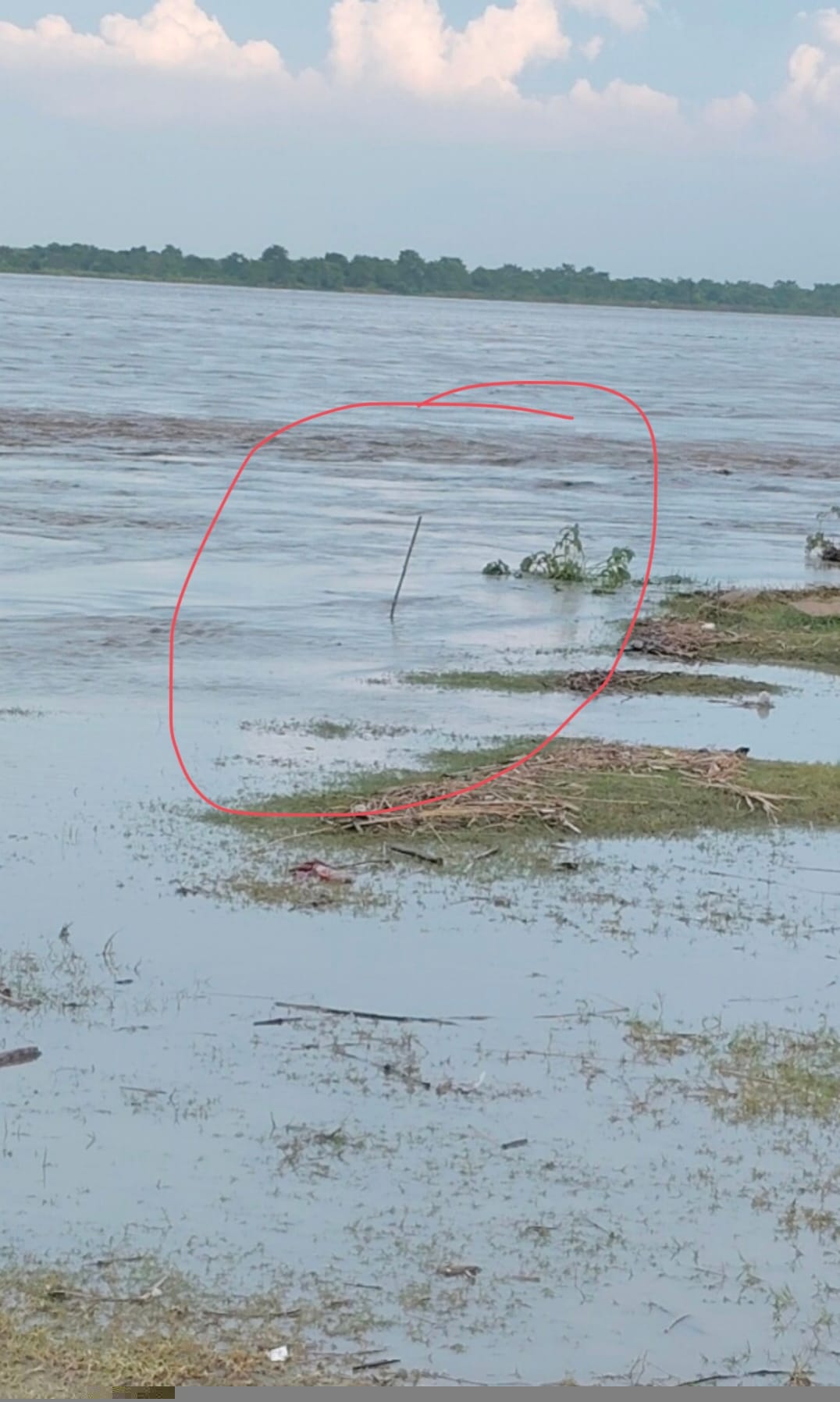 Narayani River water level fluctuated throughout the day; administration on alert.