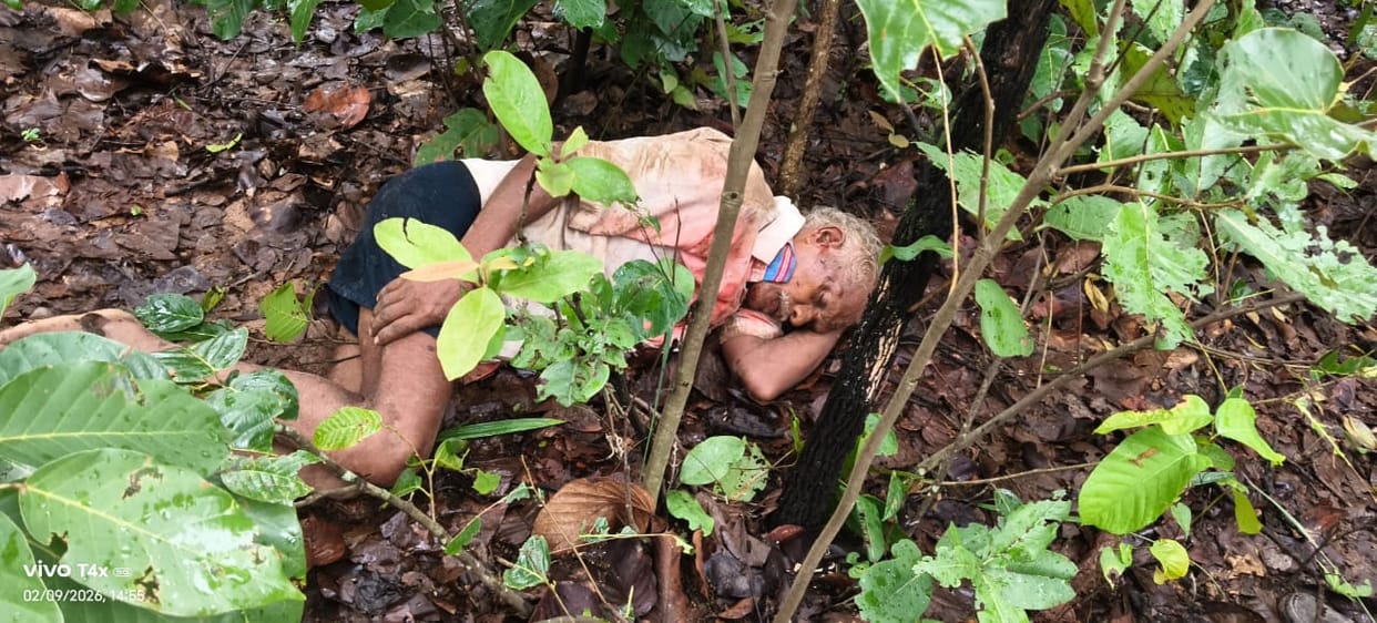 Villager seriously injured in elephant attack.