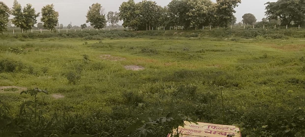 Water hyacinth, weeds, and silt have marred the lake, replacing its nectar-like waters.