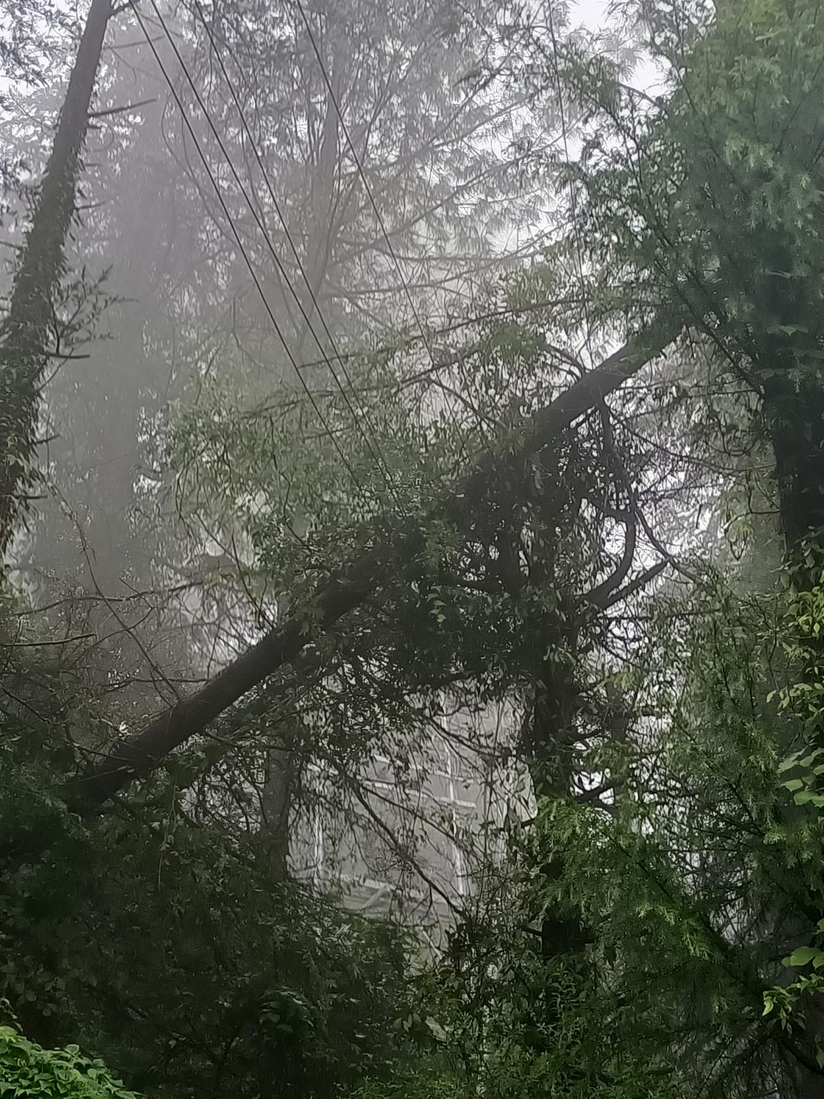 Villagers in Kotkhai and Chopal face inconvenience due to power outages during the rain