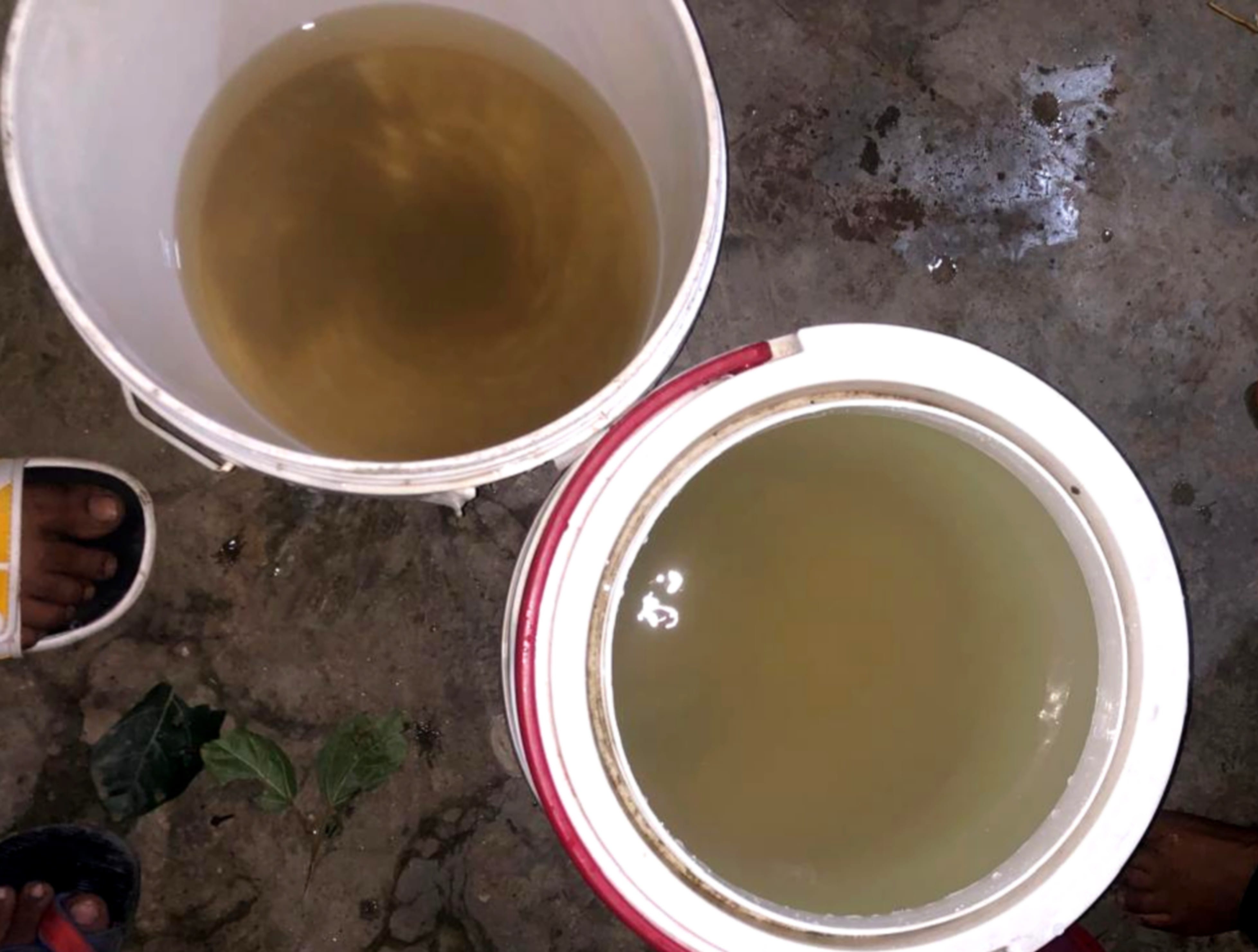 मदीना कॉलोनी में आ रहा गंदा पानी। संवाद