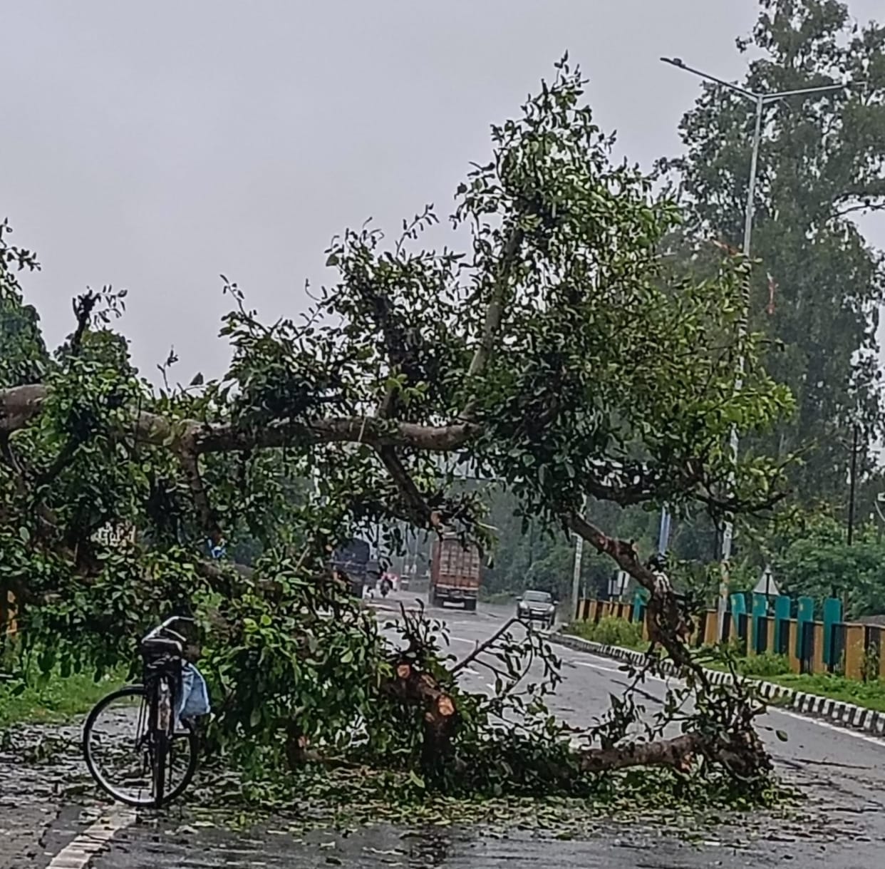 Trees fall in rain; farmer dies; highway jammed.