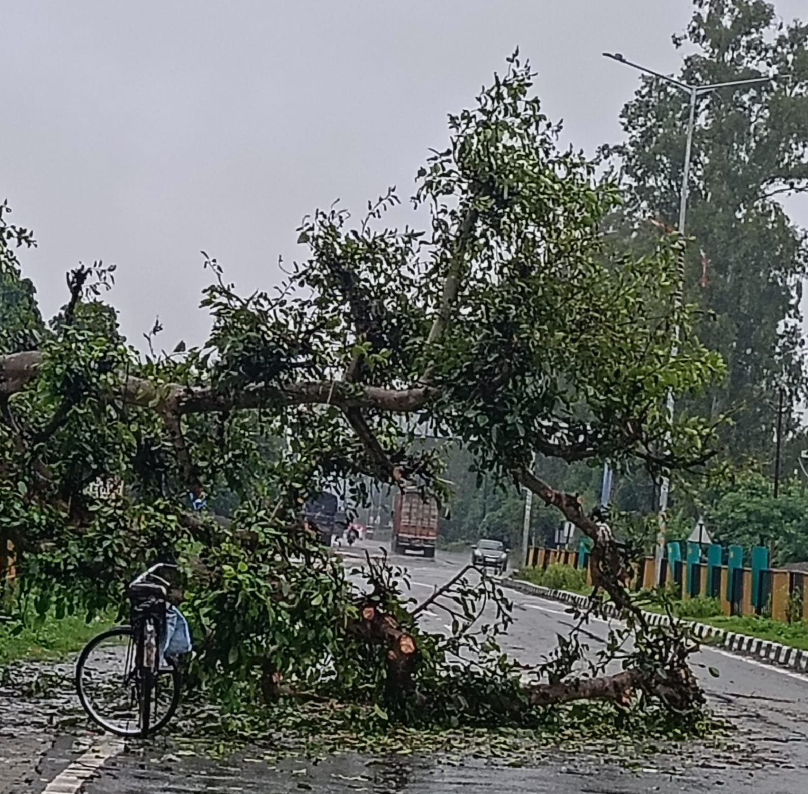 पीलीभीत बीसलपुर राजमार्ग पर कस्बा बरखेड़ा में गिरा पेड़ संवाद