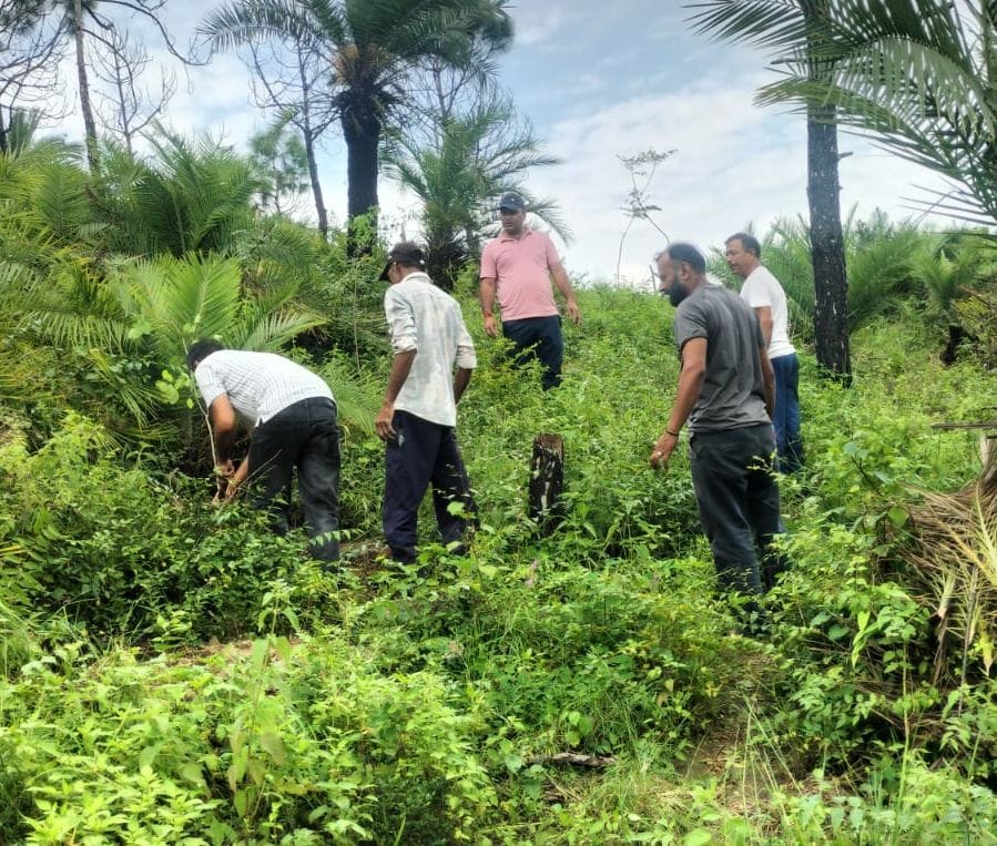 1,600 saplings planted in Ramshahar; promoting environmental conservation.