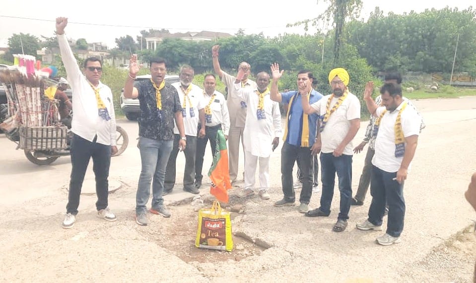 The Aam Aadmi Party registered its protest by planting a BJP flag in a pothole