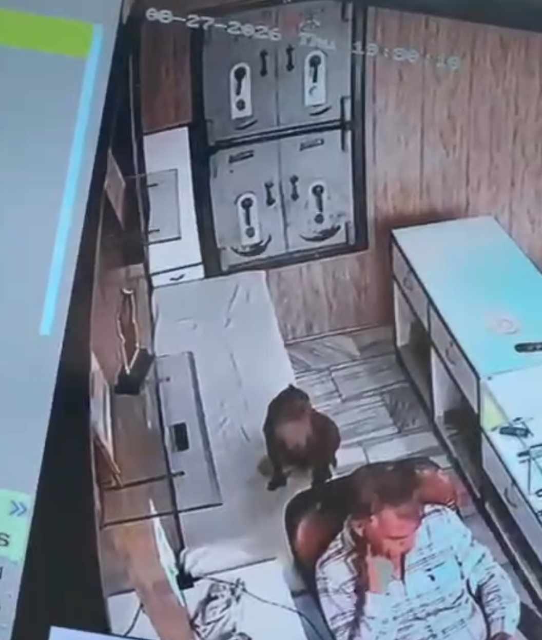 Monkey enters shop, slaps person on the head; incident caught on CCTV.