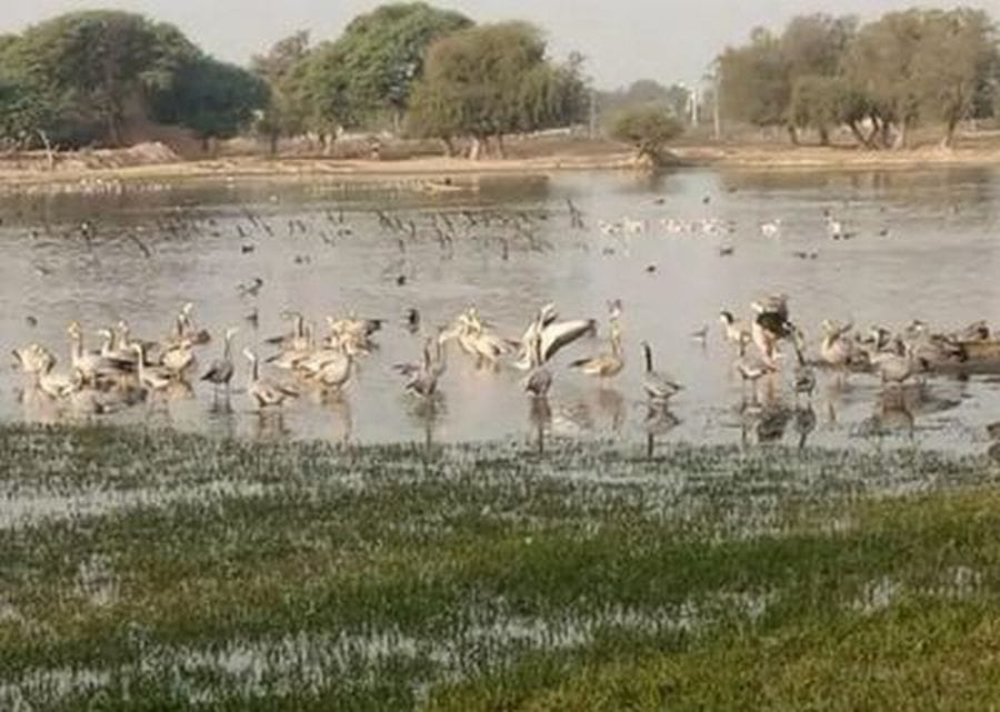 Water resources will be developed in Devbhoomi Community Reserve, fisheries wealth will increase