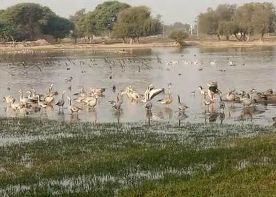 Water resources will be developed in Devbhoomi Community Reserve, fisheries wealth will increase