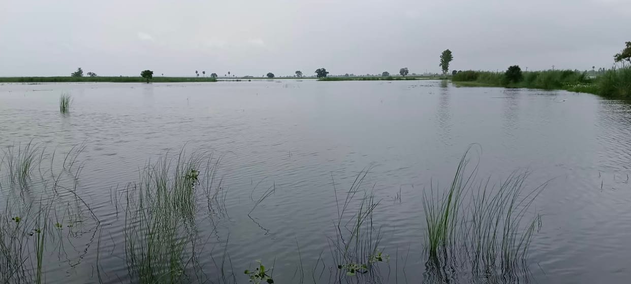 The water level of the Ganga has risen to 1.12 lakh cusecs.