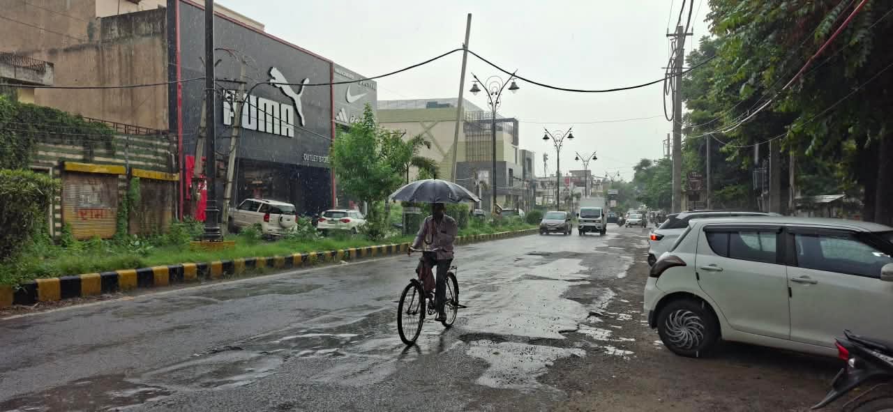 बारिश के दौरान शहर के मॉडल टाउन से साइकिल पर छतरी लेकर जाता सवार। संवाद