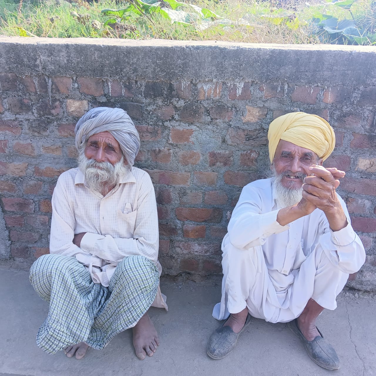 फोटो 02 पठानकोट डीसी रिहाइश निकट टावर पर चढ़े दोनों बुजुर्ग। संवाद फोटो 02 पी 01 टॉवर पर चढ़ने