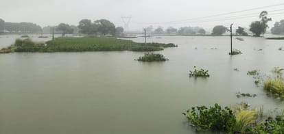 फोटो-16-असोथर क्षेत्र में नदी का जल स्तर बढ़ने से खेतों में भरा पानी। संवाद ऋ