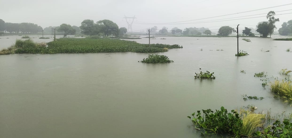 Sasur Khaderi river overflows; crops across thousands of bighas submerged.