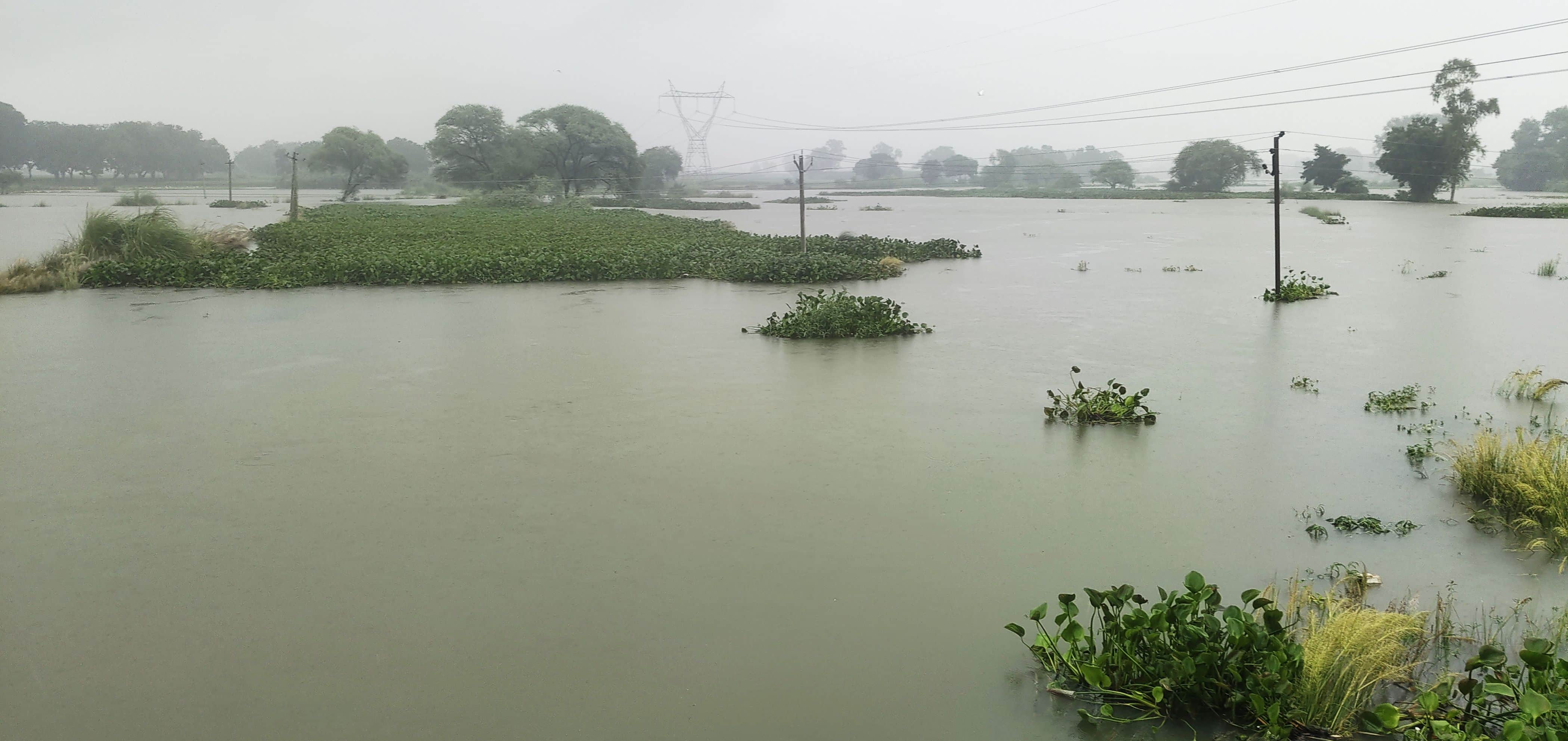 फोटो-16-असोथर क्षेत्र में नदी का जल स्तर बढ़ने से खेतों में भरा पानी। संवाद ऋ