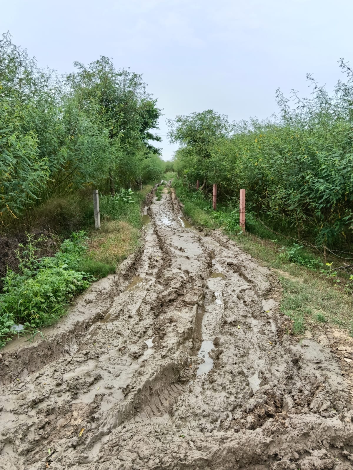 path to cremation in shambles due to mud villagers