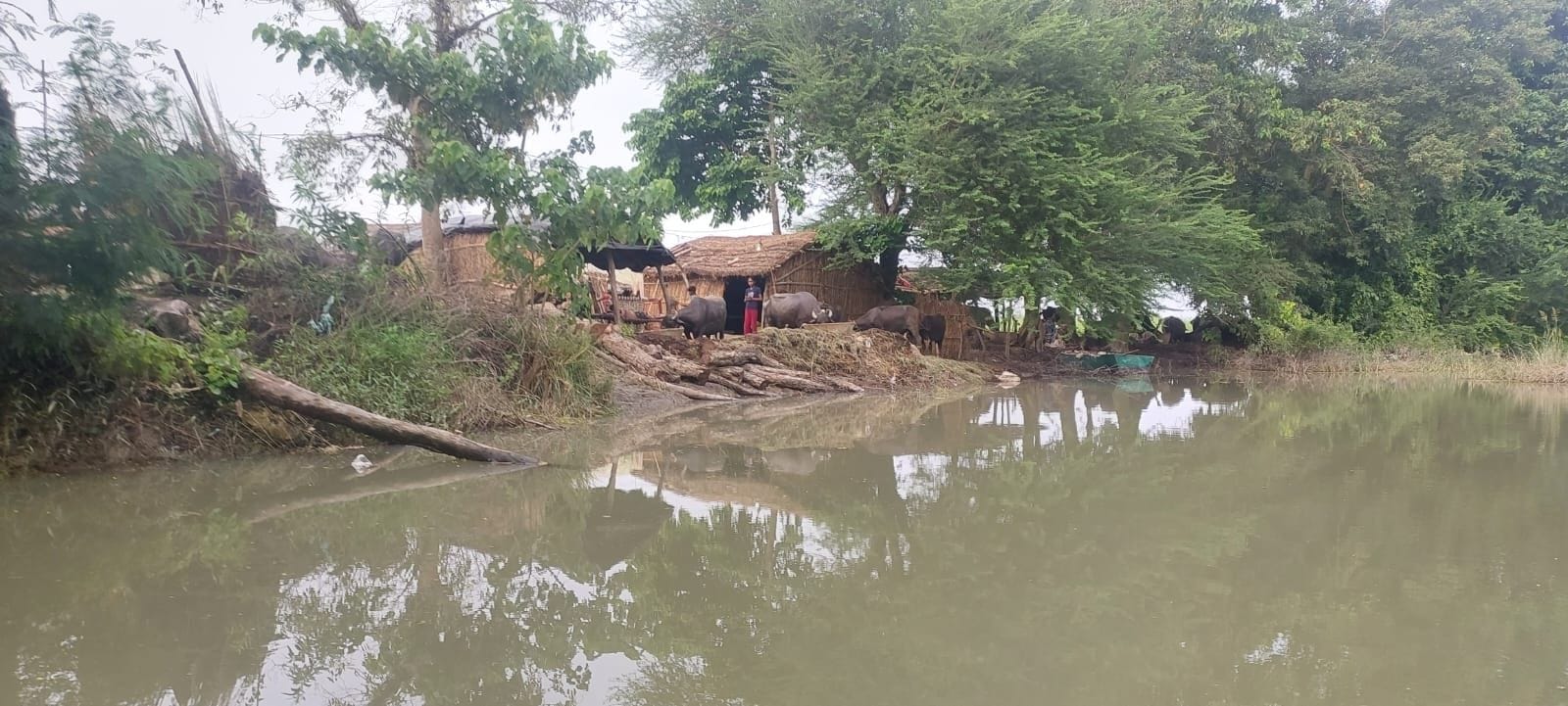 गोंडा में बाढ़ के हालात बयां करतीं तस्वीरें। संवाद