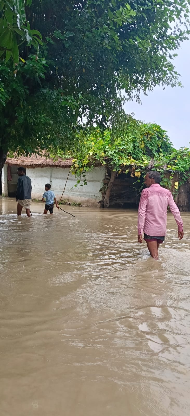 गांव हजारा की आबादी में भरा पानी- ग्रामीण
