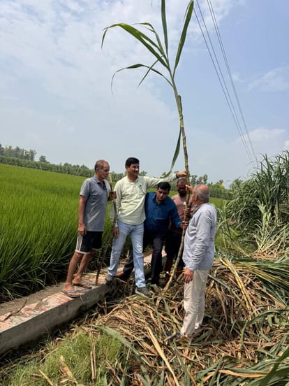 हरिगढ़ किंगन में गन्ने के खेत में पहुंचे अधिकारी व किसान। विज्ञप्ति