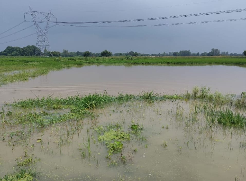 VBG Ramji follows the MGNREGA model: water on the ground, but 118 ponds being dug only on paper.