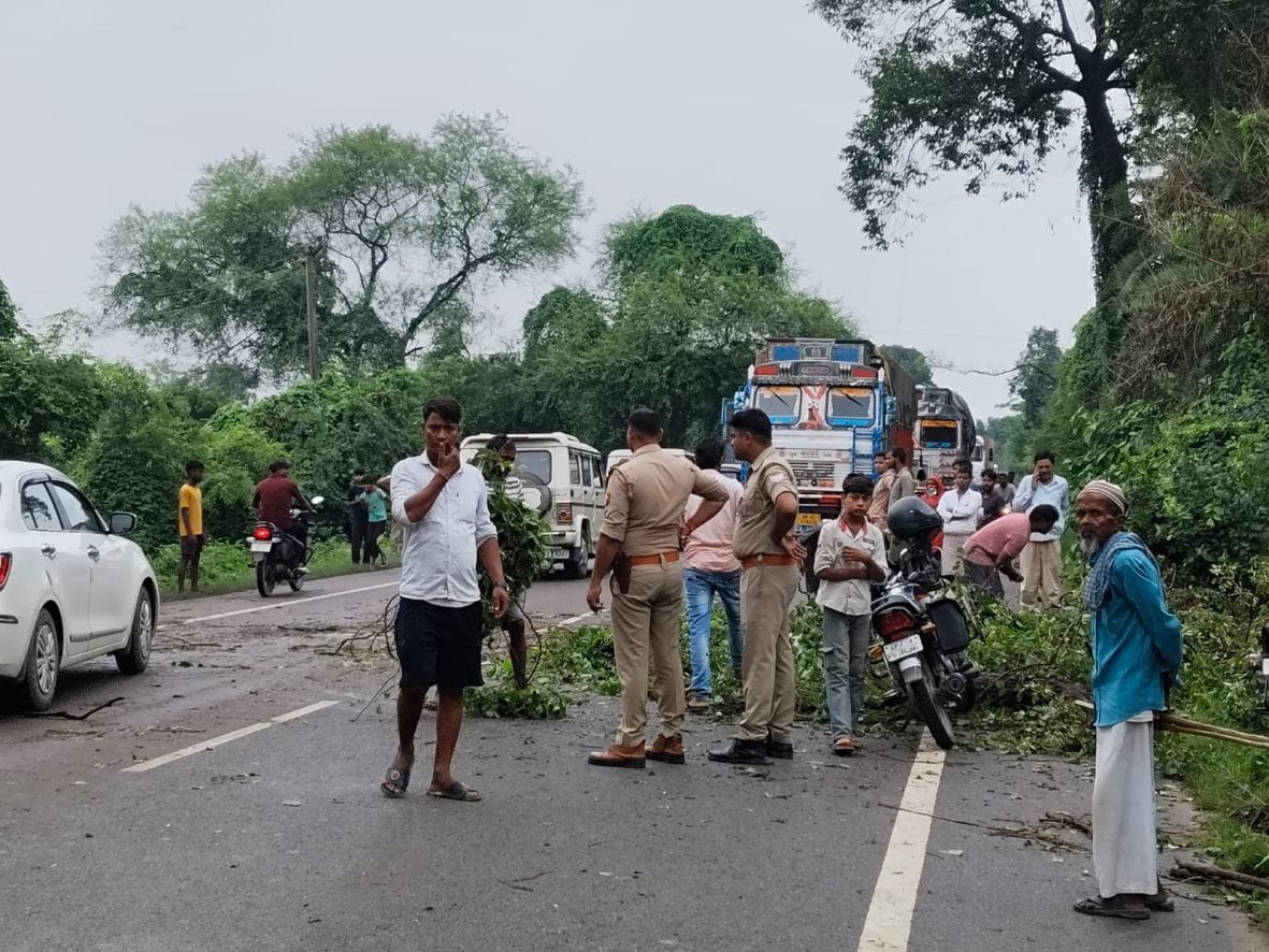 Sheesham tree fell on highway, traffic disrupted for half an hour