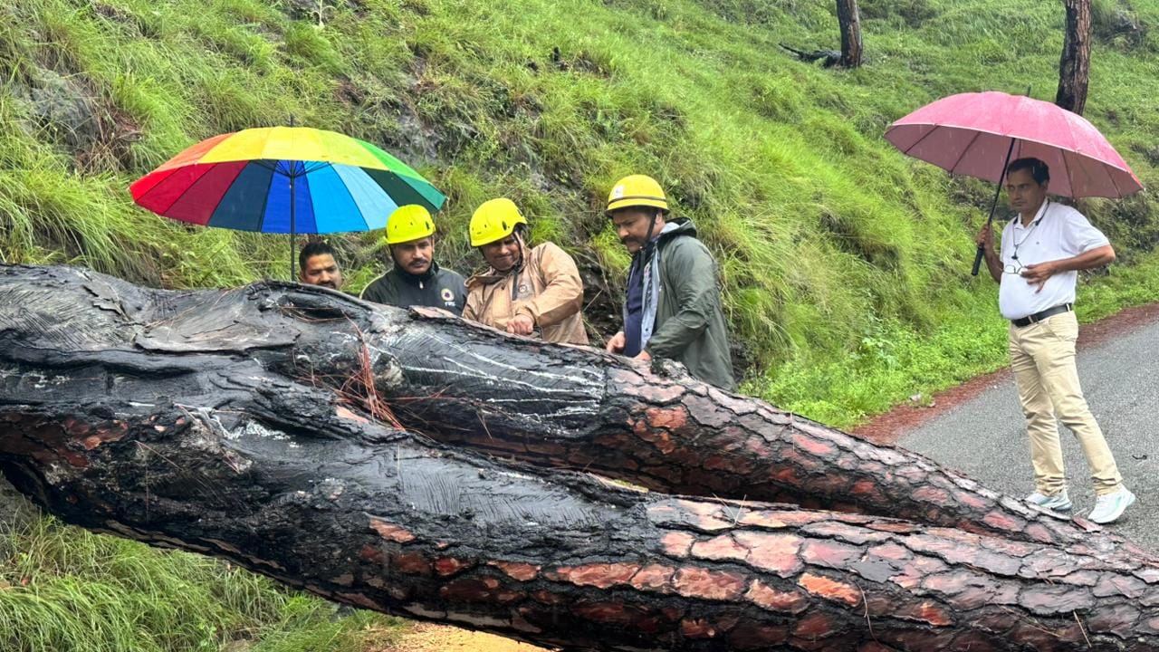 क्वारब बाईपास पर सड़क पर गिरे पेड़ को टुकड़ों में काटती फायर सर्विस रेस्क्यू टीम। स्रोत जागरुक 