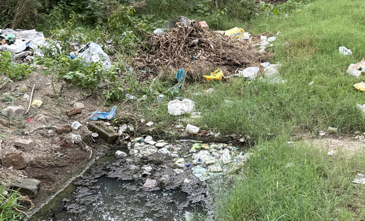खुर्जा के चमन विहार कॉलोनी स्थित नाली में भरी गंदगी। संवाद