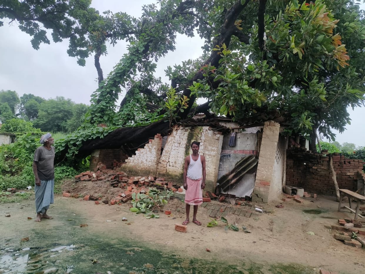 Worker's house flattened by falling tree; family left homeless.