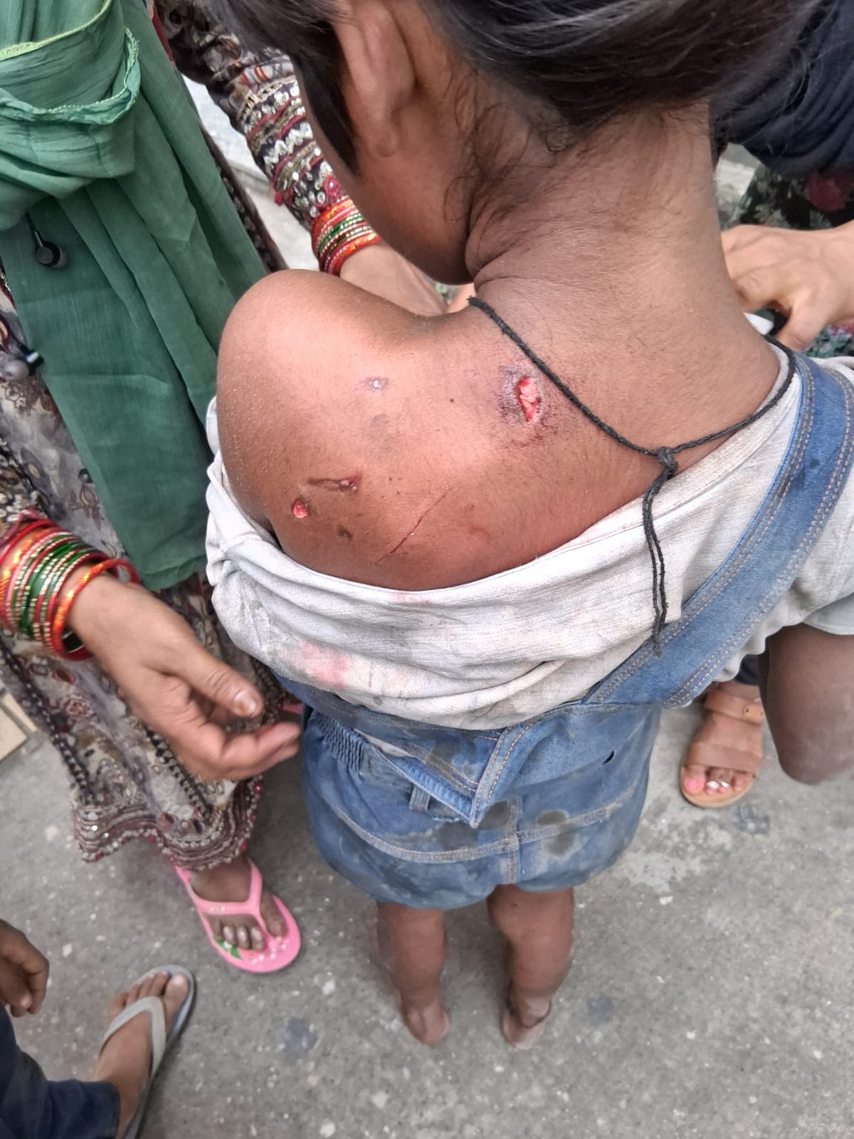 A swarm of cartoons attacked the children in the society.