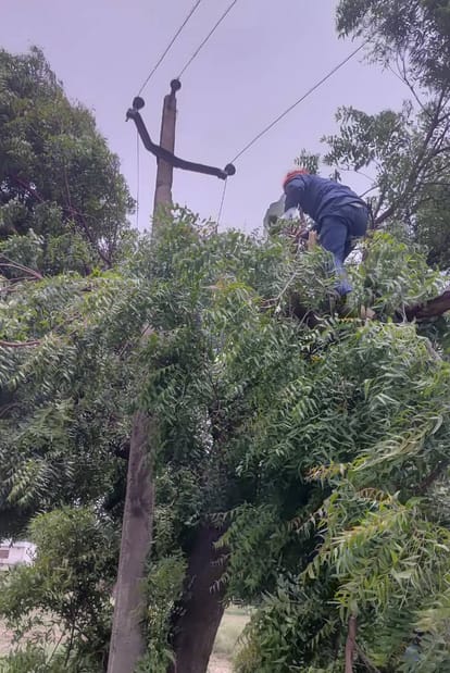 अमेठी के पीठीपुर में बिजली तार से सटे पेड़ की डालियों की छंटाई करते ऊर्जा निगम कर्मी। स्रोत- ऊर