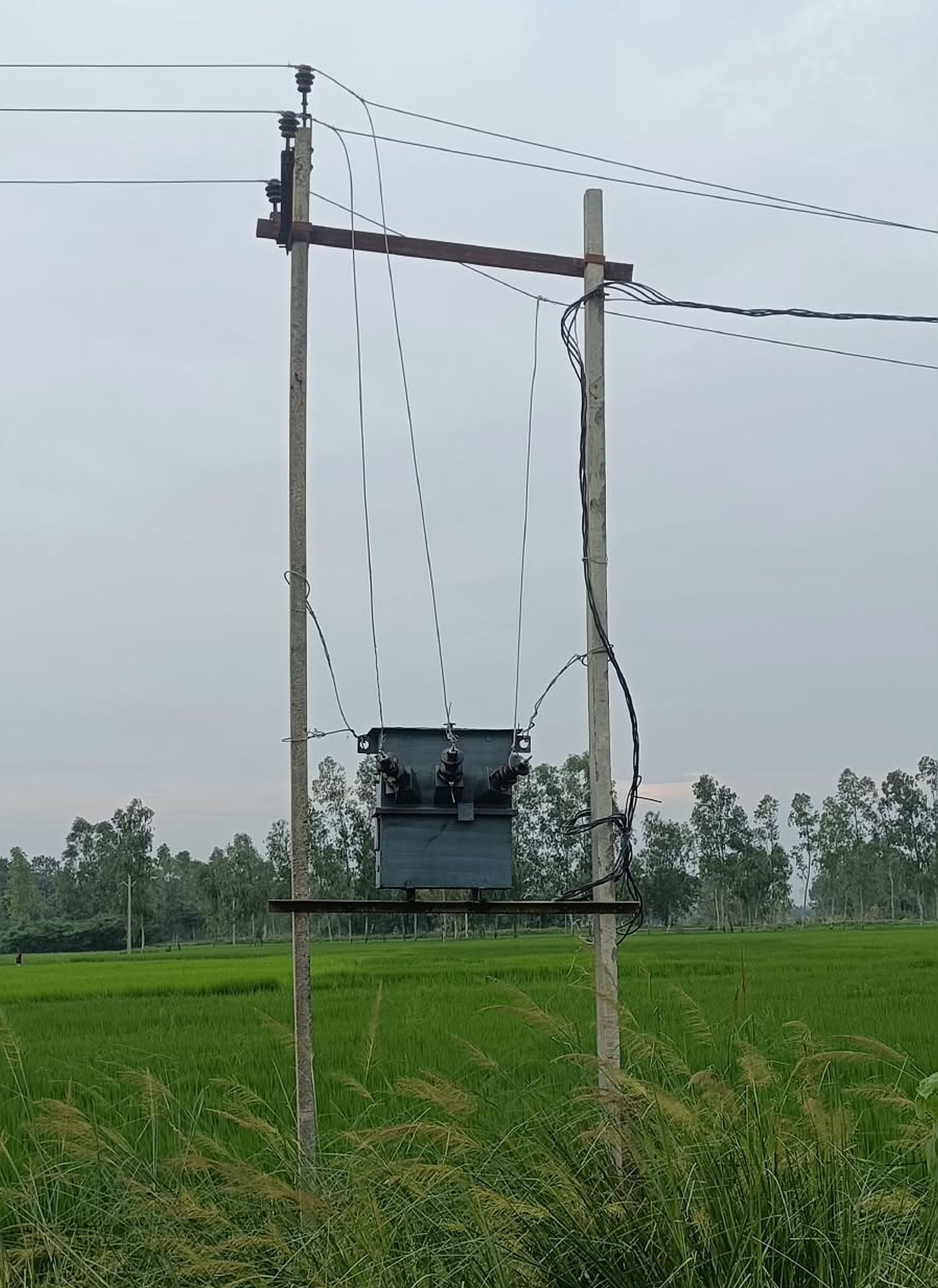 फुरसतगंज के डिघिया फीडर के पूरे जालिम गांव में लगाया गया नया ट्रांसफार्मर। स्रोत- ऊर्जा निगम