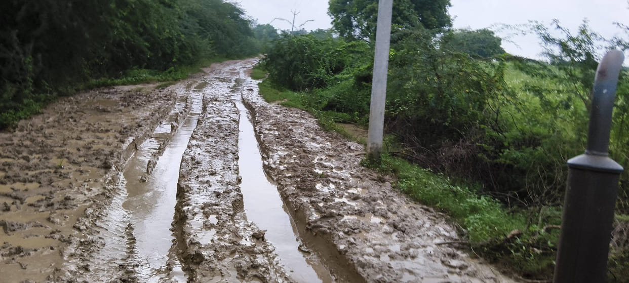 Gram Panchayat Secretary suspended; Sumerpur BDO to conduct inquiry