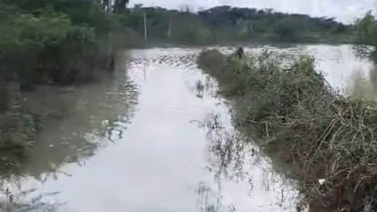 फोटो 04 एचएएमपी 28- भटरा की मुख्य सड़क पर जलभराव।   संवाद