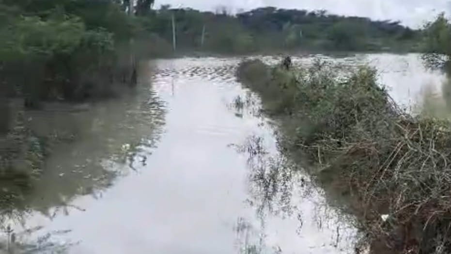 Due to waterlogging on the road, family members carried a pregnant woman to the hospital on a cot