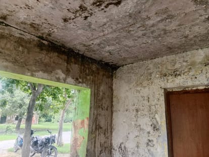 फोटो नवाब 01 बदहाल पशु चिकित्सालय कौड़िहार