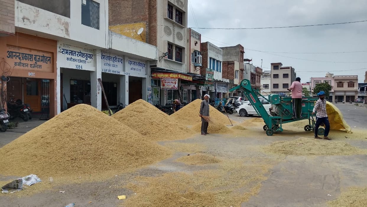 Arrival of early Basmati starts in the markets