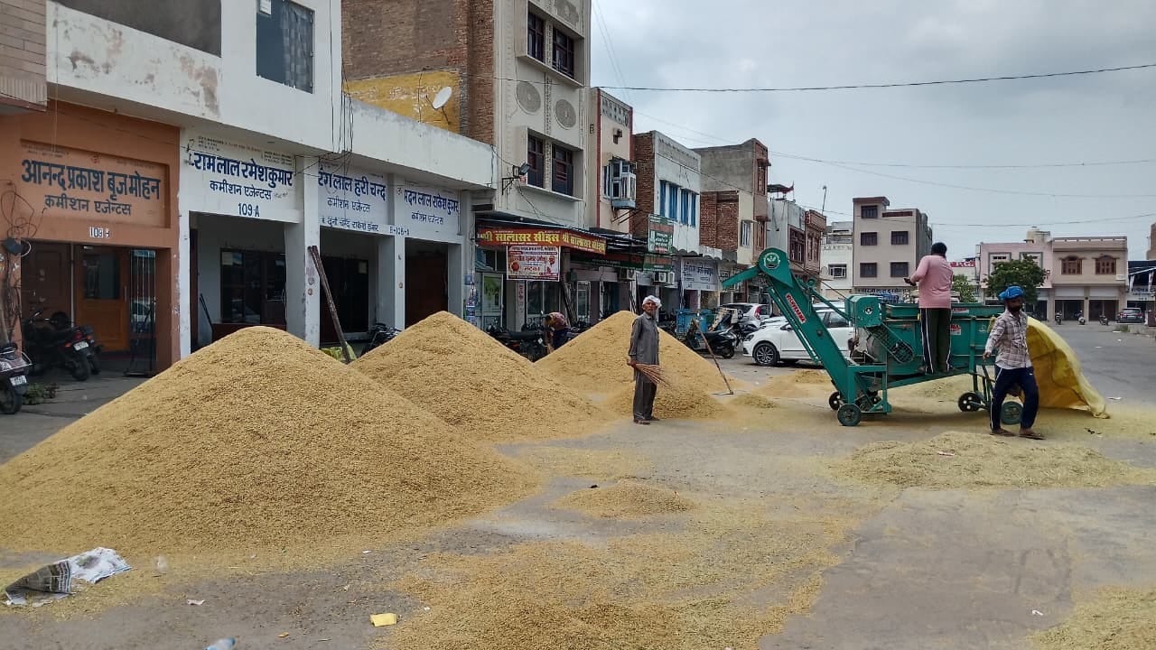 शहर की पुरानी सब्जी मंडी पहुंची धान की फसल। संवाद