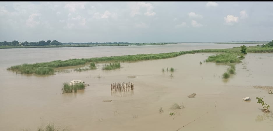 भागलपुर में खेतों में फैला पानी।