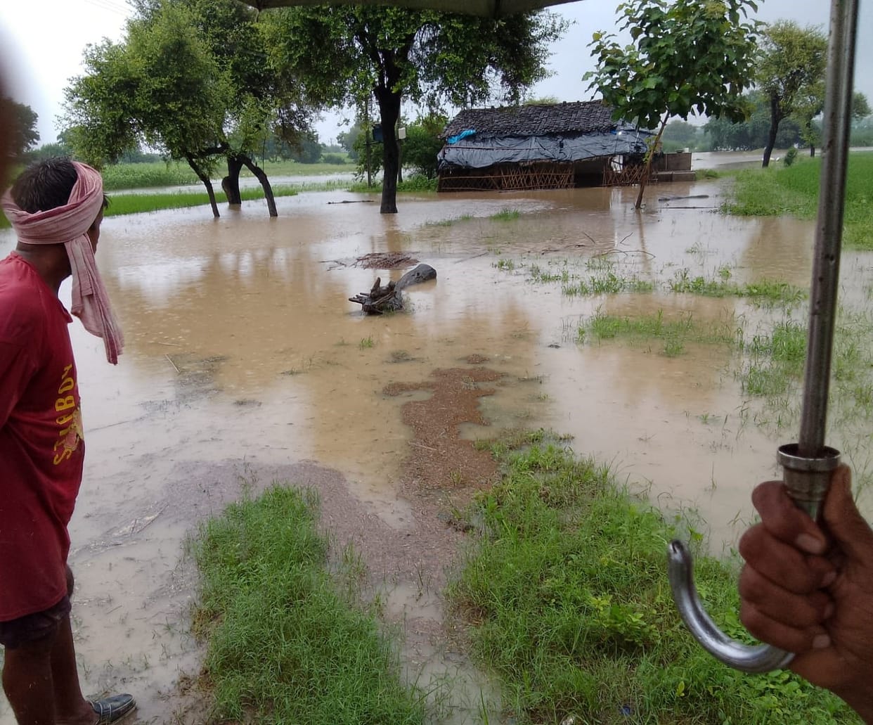 Yamuna water level rises by 1.5 meters; all causeways on the Chandrawal and Ken rivers submerged.