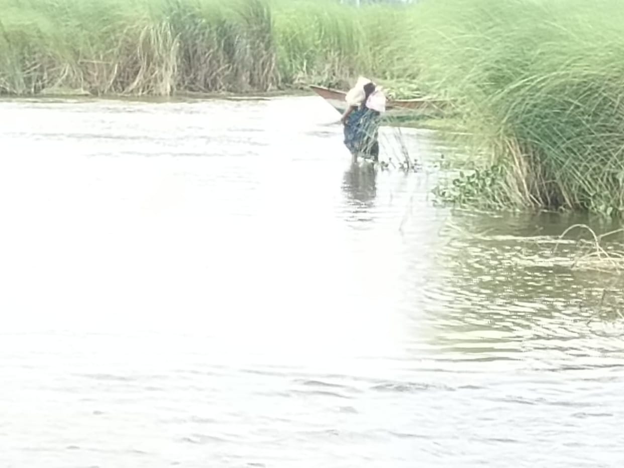 Five villages in Devara surrounded by floodwaters; boats become the lifeline.