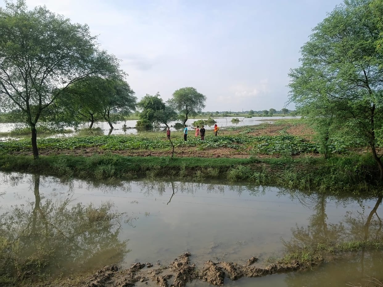 The Ganga is receding at a rate of two centimeters; the stench of rotting crops has compounded the difficulties.
