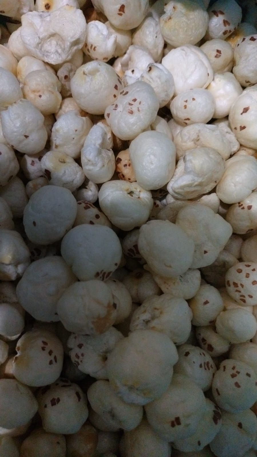 Price of makhana drops; falls from1,100 to 900 per kg.