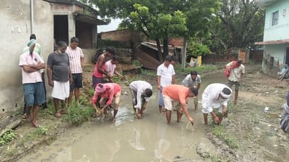 Interlocking-tile road turns into a pond; protest staged by planting paddy.