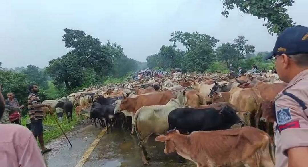 Shahdol: Cow shelter demand sparks row in Beohari, BJP leader and others booked over cattle protest
