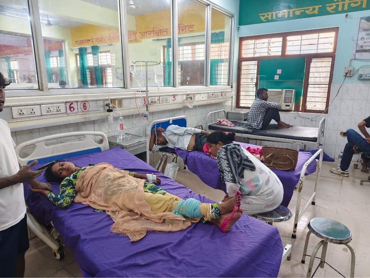 Two dead from snake bites, six hospitalized