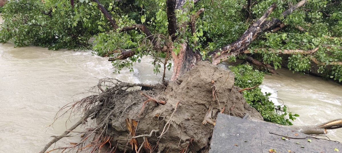 सारण में बाढ़ का तांडव: दिघवारा में मही नदी का टूटा बांध, NH-19 पर पहुंचा पानी; छपरा में विकराल होती स्थिति