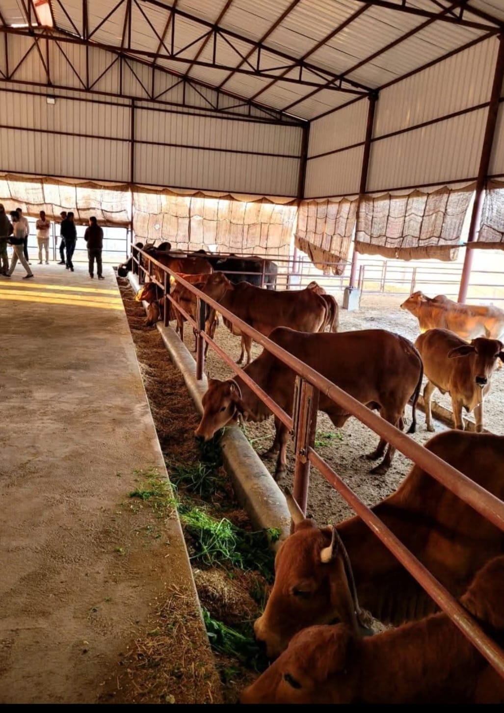 60 cows, 60 acres of farmland... Seeds from the district making waves from Pantnagar to Karnal.