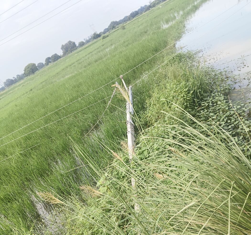 11,000-volt poles and lines have been broken for 25 days, leaving seven tube wells without power.